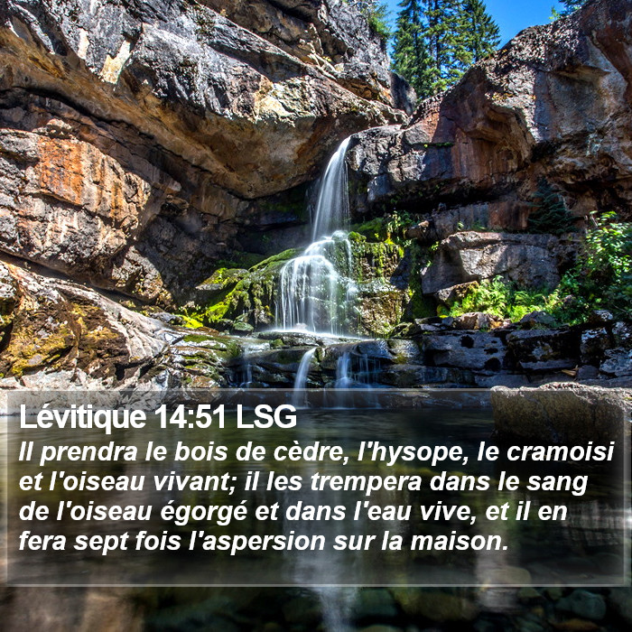 Lévitique 14:51 LSG Bible Study