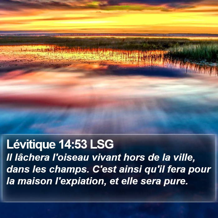 Lévitique 14:53 LSG Bible Study