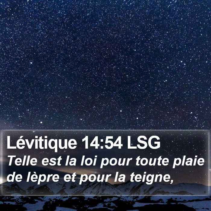 Lévitique 14:54 LSG Bible Study