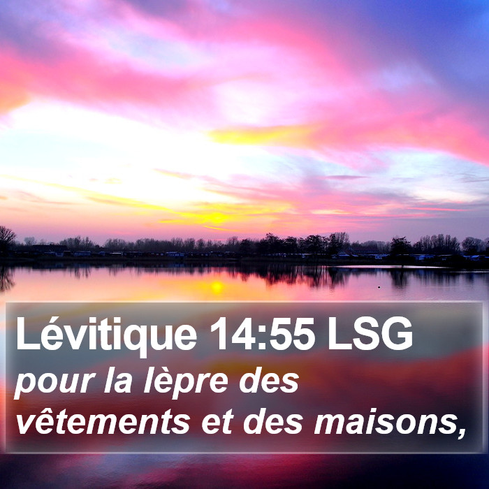 Lévitique 14:55 LSG Bible Study