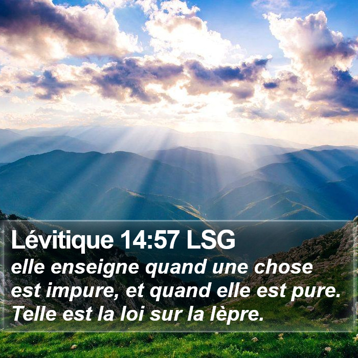 Lévitique 14:57 LSG Bible Study
