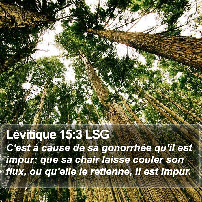 Lévitique 15:3 LSG Bible Study