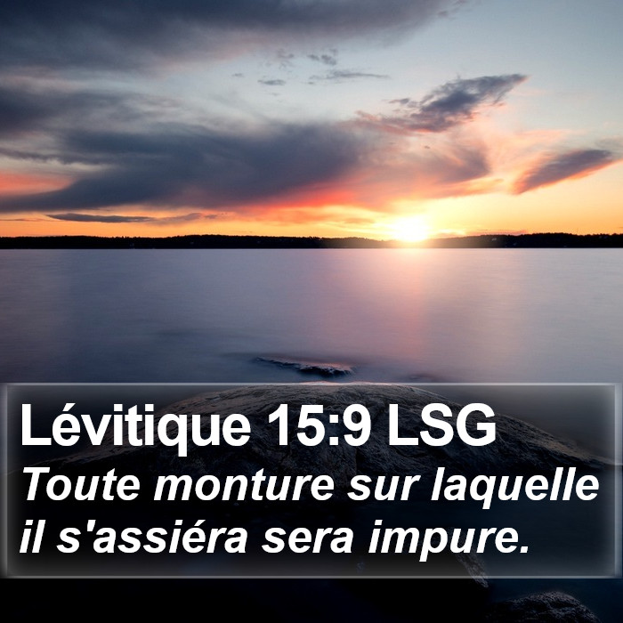 Lévitique 15:9 LSG Bible Study