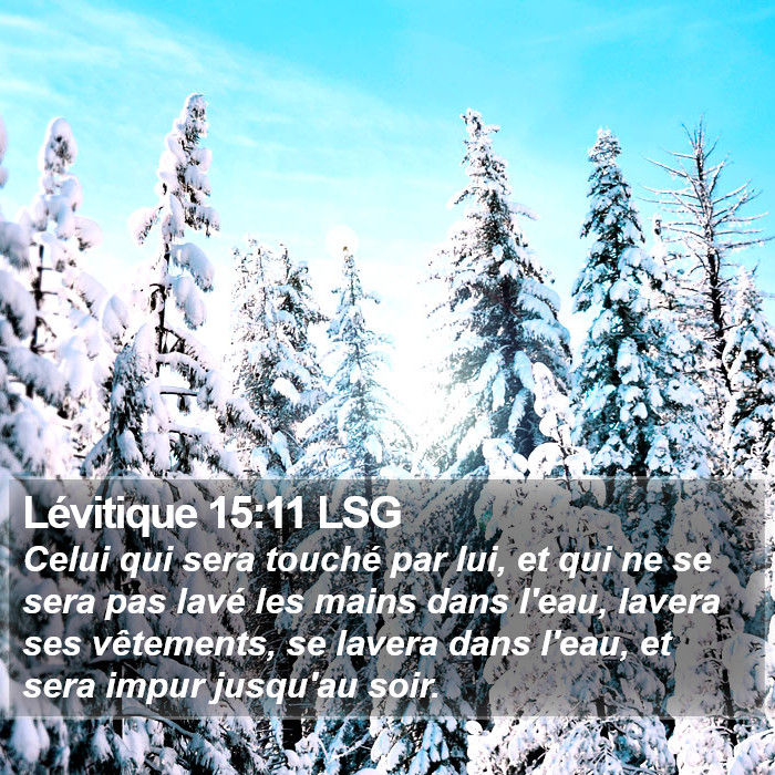Lévitique 15:11 LSG Bible Study