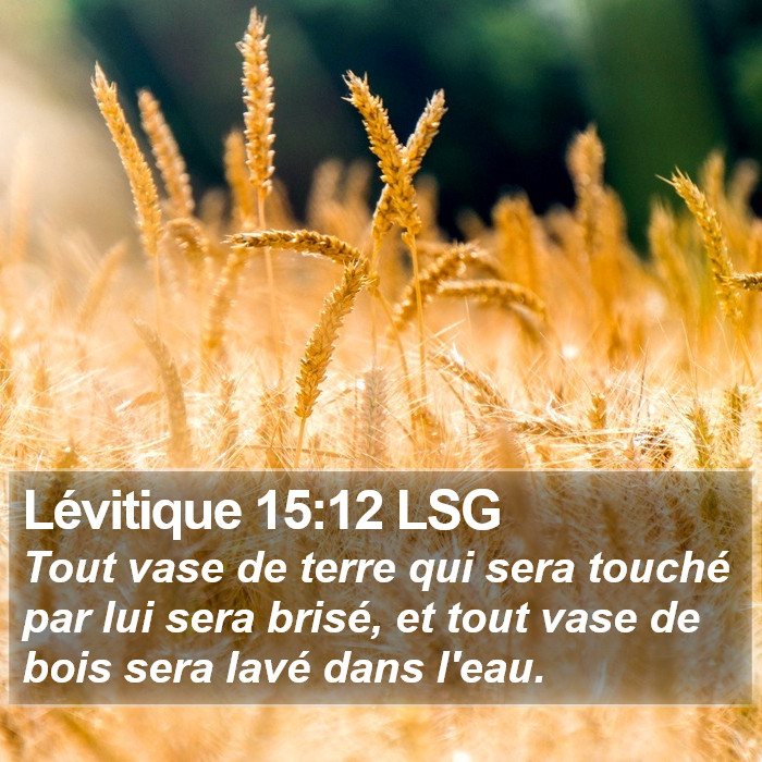 Lévitique 15:12 LSG Bible Study