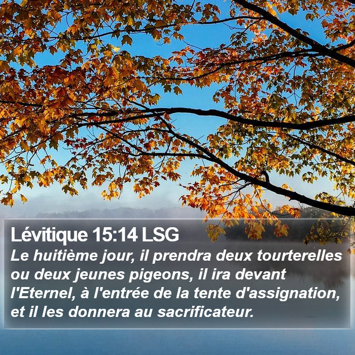Lévitique 15:14 LSG Bible Study