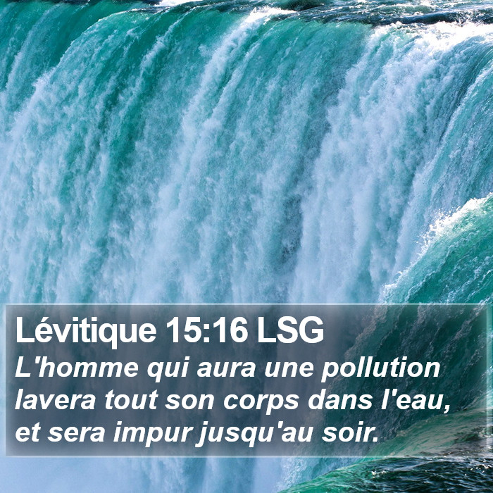 Lévitique 15:16 LSG Bible Study