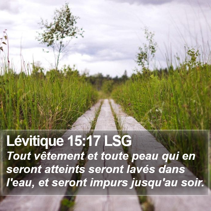 Lévitique 15:17 LSG Bible Study