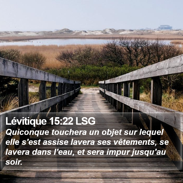 Lévitique 15:22 LSG Bible Study