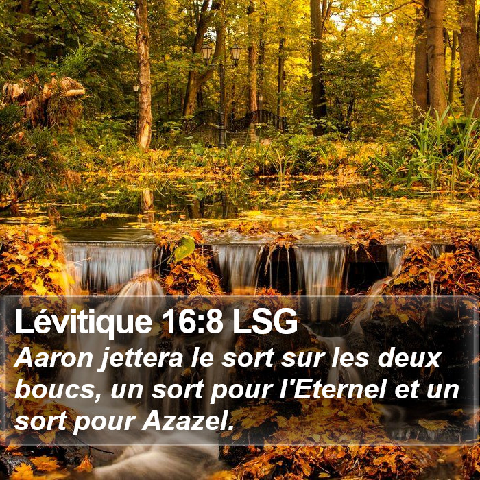 Lévitique 16:8 LSG Bible Study