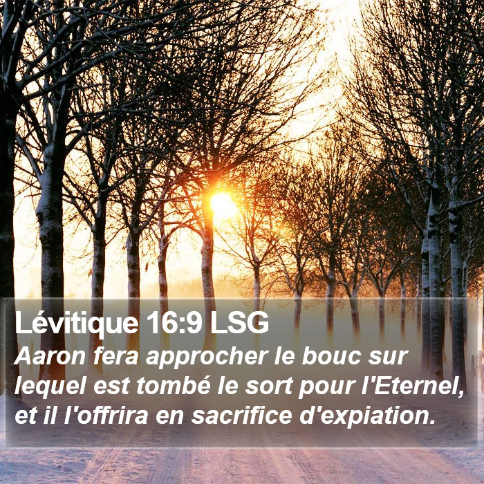 Lévitique 16:9 LSG Bible Study