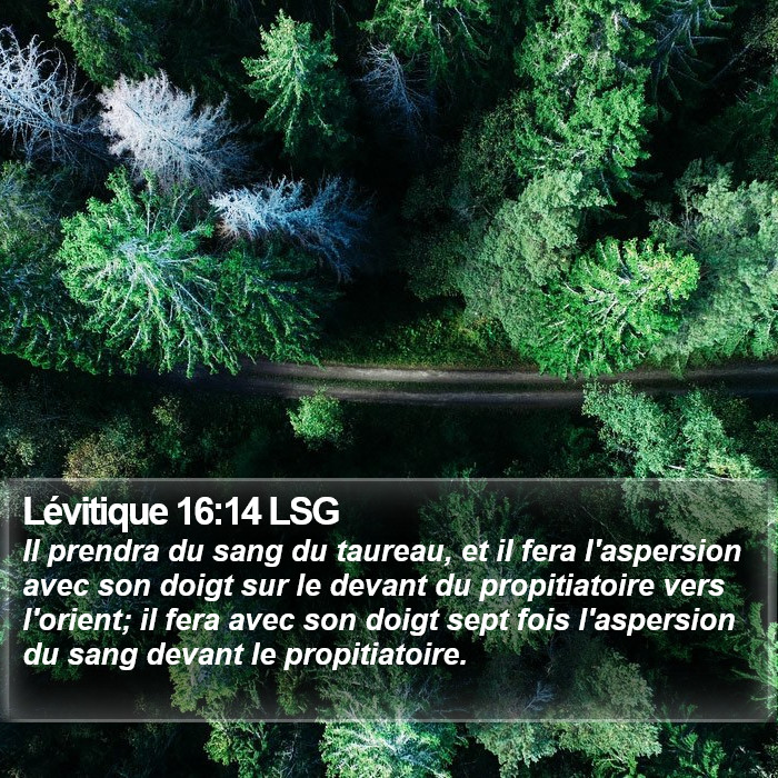 Lévitique 16:14 LSG Bible Study