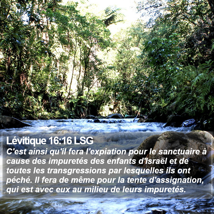 Lévitique 16:16 LSG Bible Study