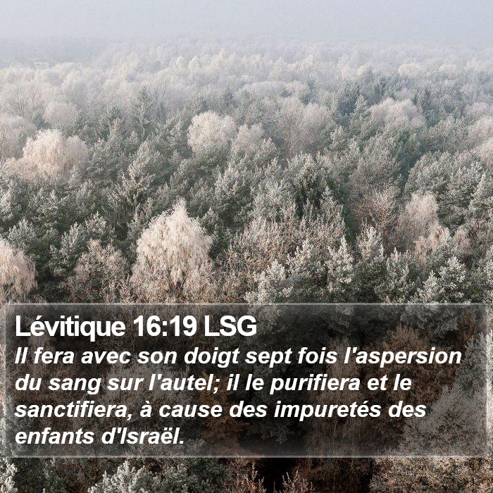 Lévitique 16:19 LSG Bible Study
