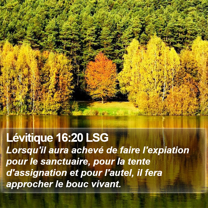 Lévitique 16:20 LSG Bible Study