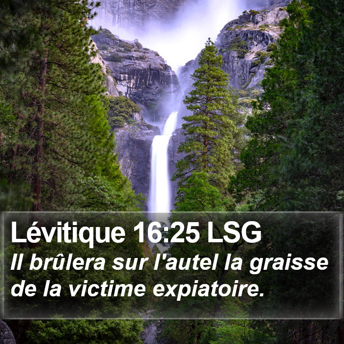 Lévitique 16:25 LSG Bible Study