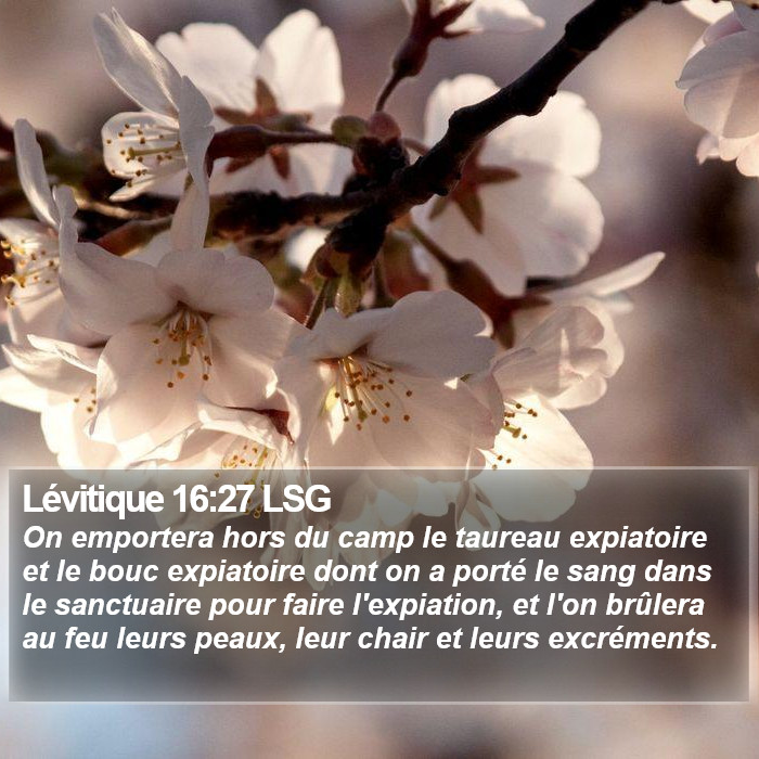 Lévitique 16:27 LSG Bible Study