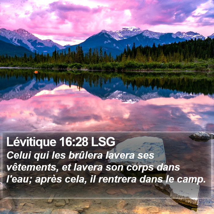 Lévitique 16:28 LSG Bible Study