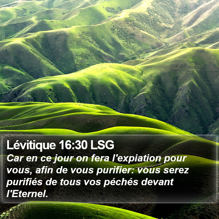 Lévitique 16:30 LSG Bible Study