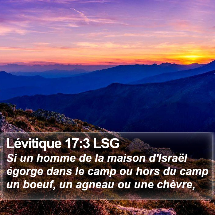 Lévitique 17:3 LSG Bible Study