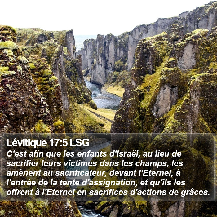 Lévitique 17:5 LSG Bible Study