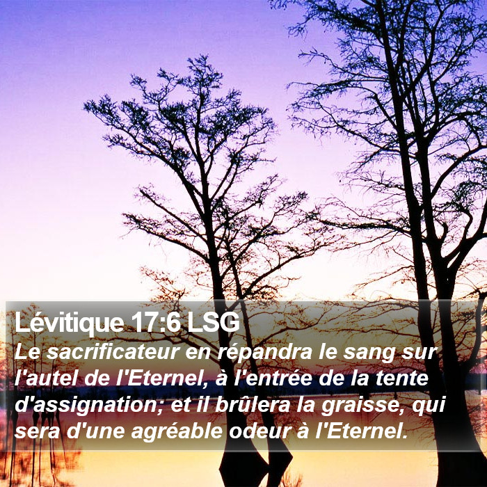 Lévitique 17:6 LSG Bible Study