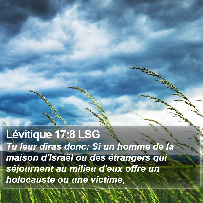 Lévitique 17:8 LSG Bible Study