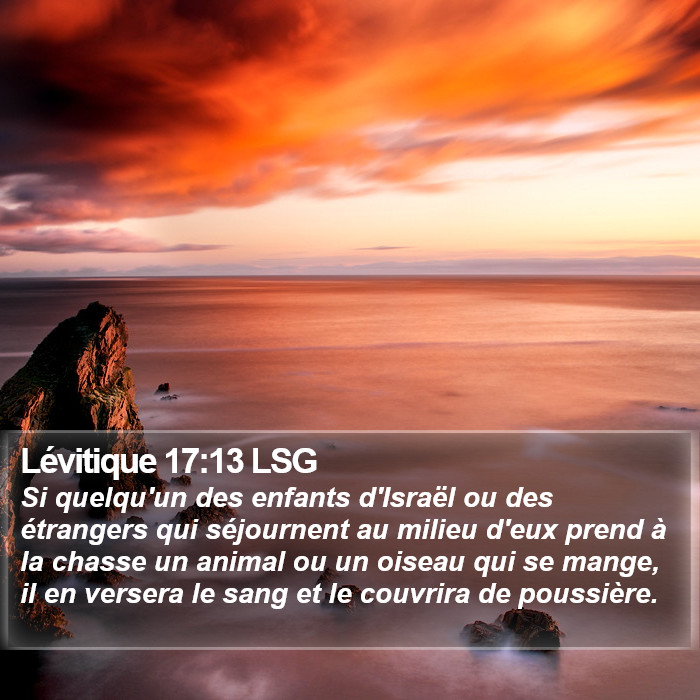 Lévitique 17:13 LSG Bible Study
