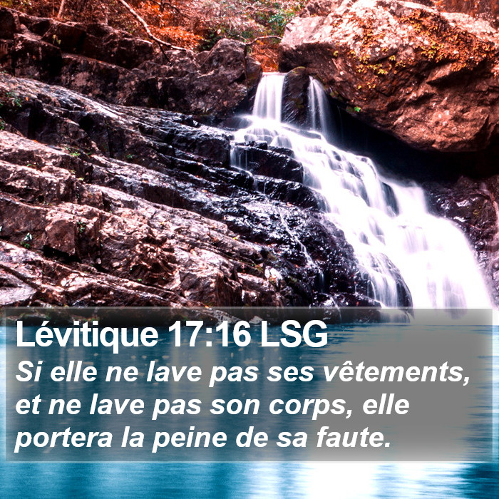 Lévitique 17:16 LSG Bible Study
