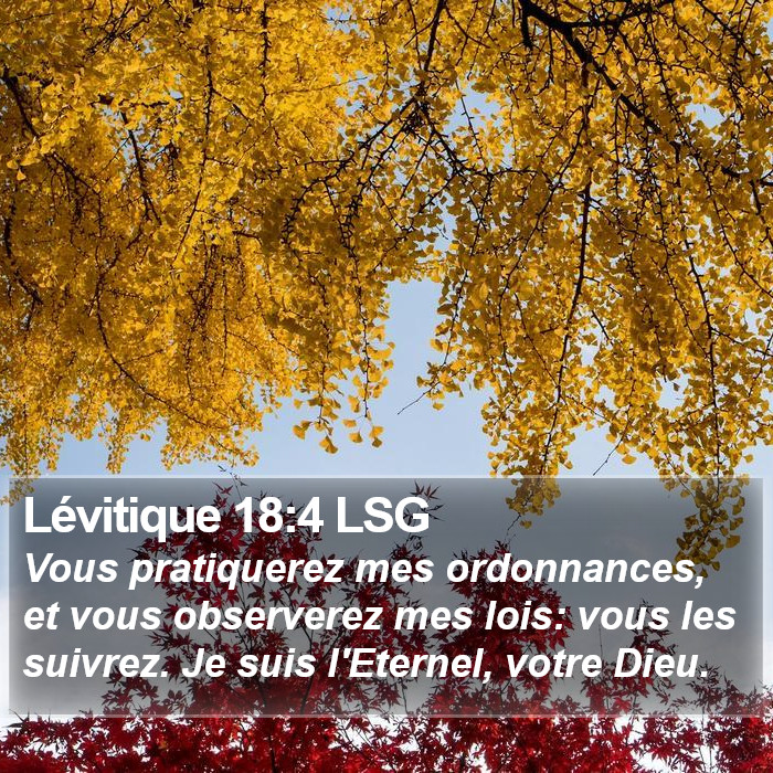 Lévitique 18:4 LSG Bible Study