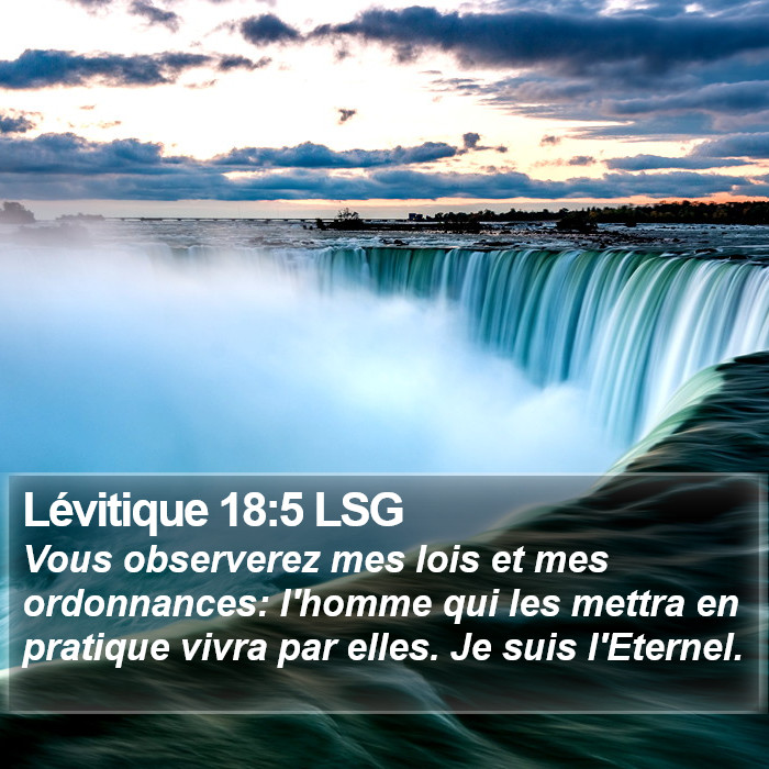 Lévitique 18:5 LSG Bible Study