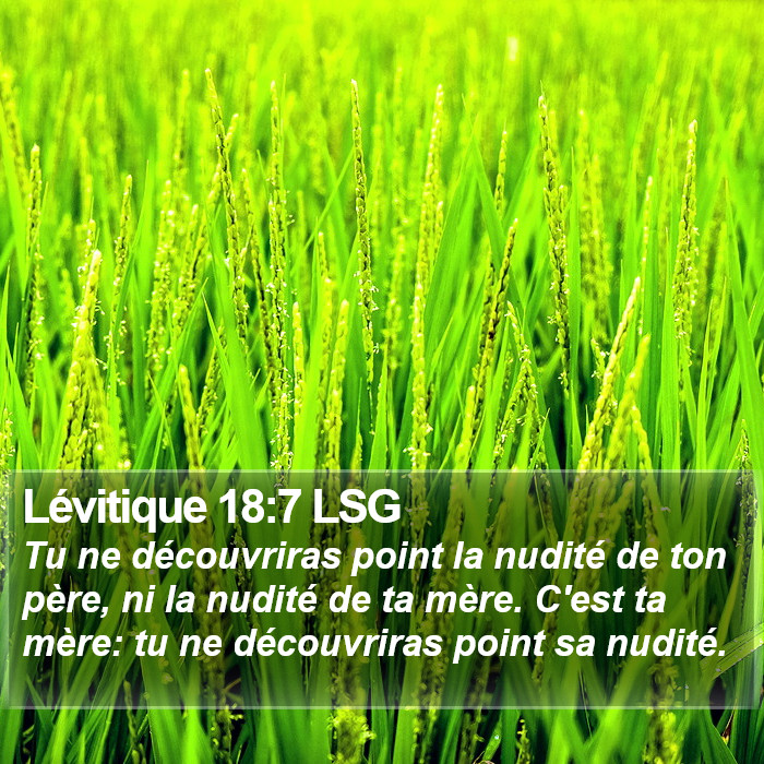 Lévitique 18:7 LSG Bible Study