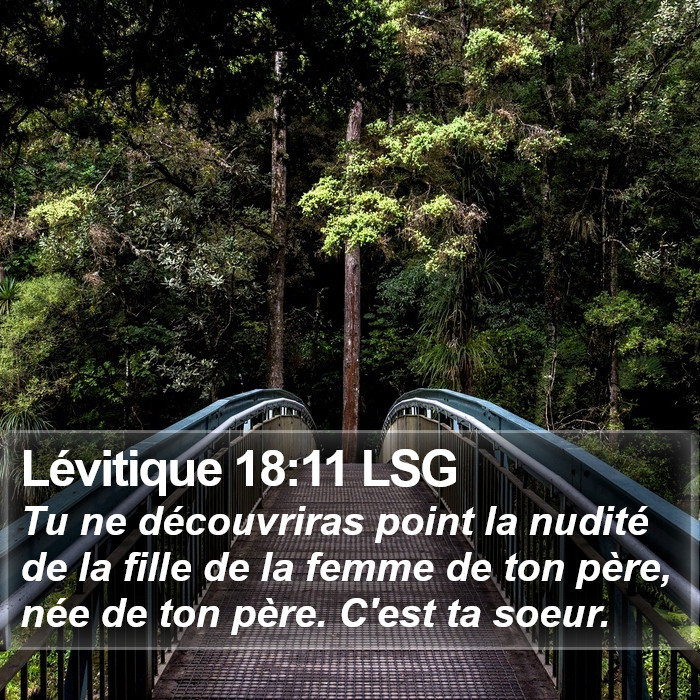 Lévitique 18:11 LSG Bible Study