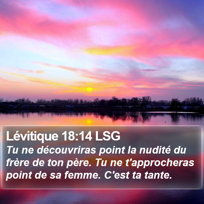 Lévitique 18:14 LSG Bible Study