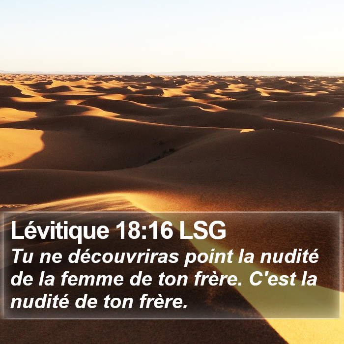 Lévitique 18:16 LSG Bible Study