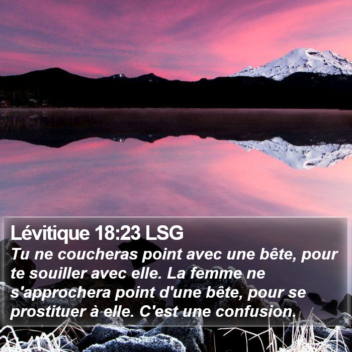 Lévitique 18:23 LSG Bible Study