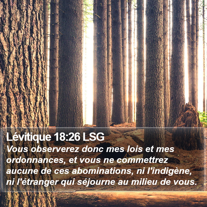 Lévitique 18:26 LSG Bible Study