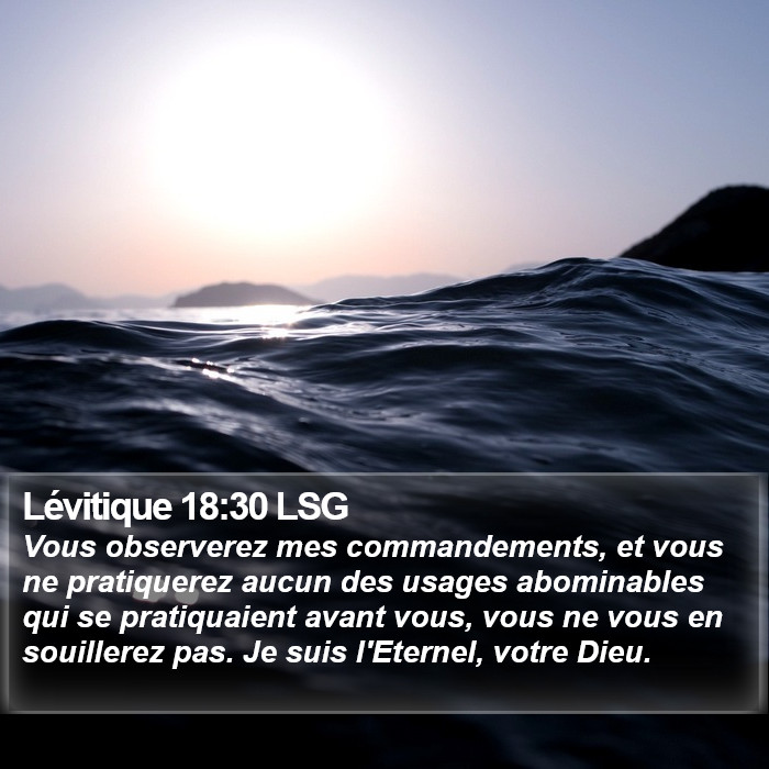 Lévitique 18:30 LSG Bible Study