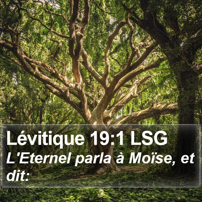 Lévitique 19:1 LSG Bible Study