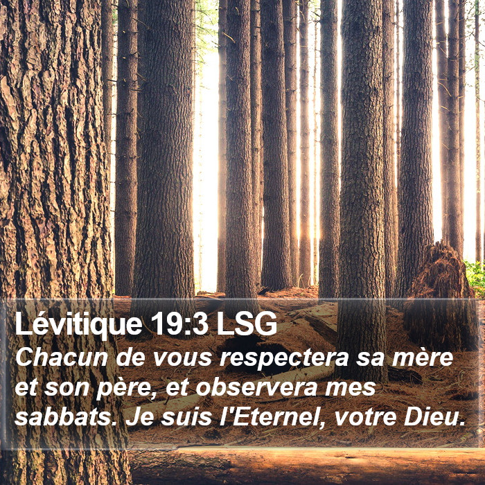 Lévitique 19:3 LSG Bible Study