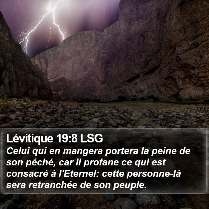 Lévitique 19:8 LSG Bible Study