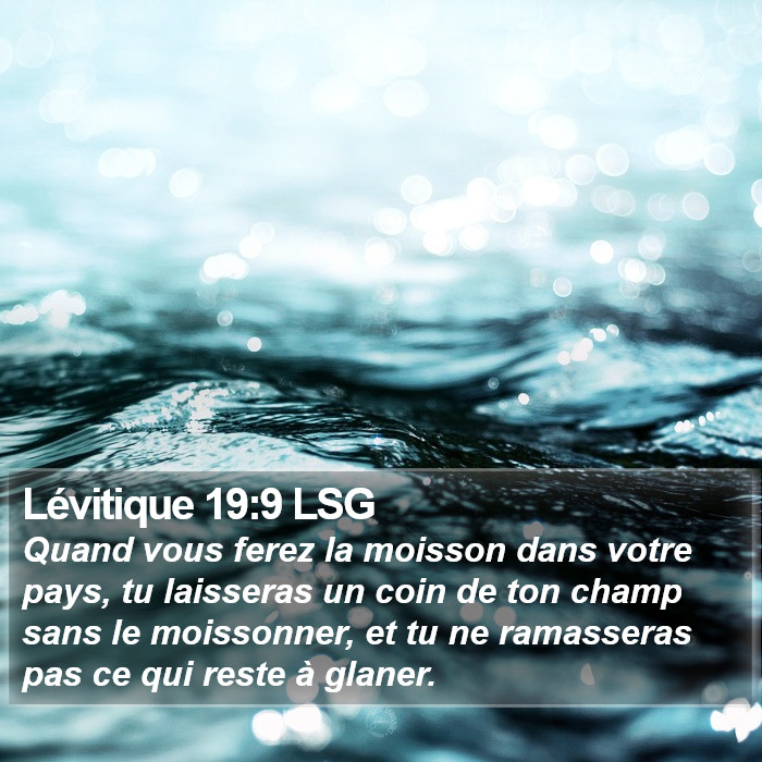 Lévitique 19:9 LSG Bible Study