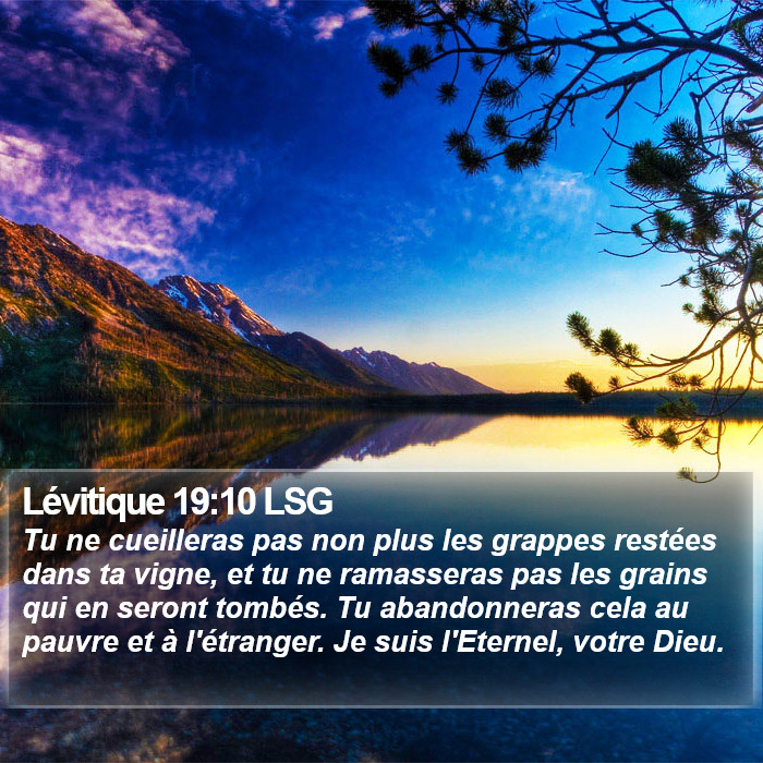 Lévitique 19:10 LSG Bible Study
