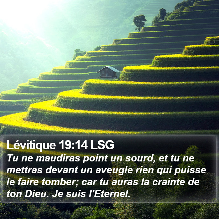 Lévitique 19:14 LSG Bible Study
