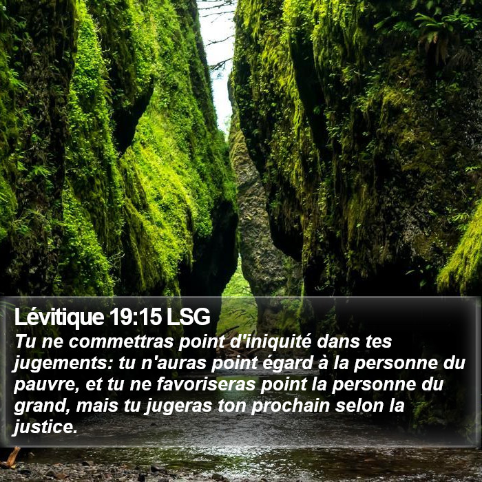 Lévitique 19:15 LSG Bible Study