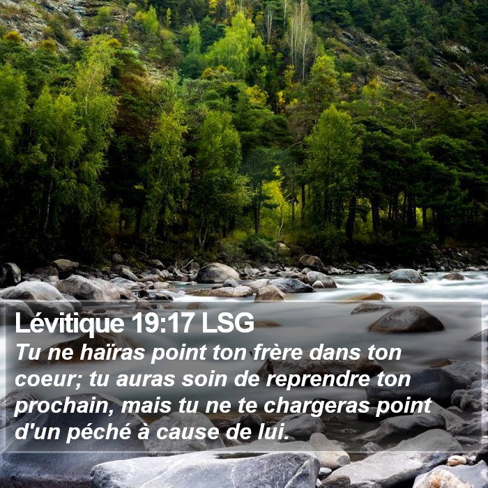 Lévitique 19:17 LSG Bible Study