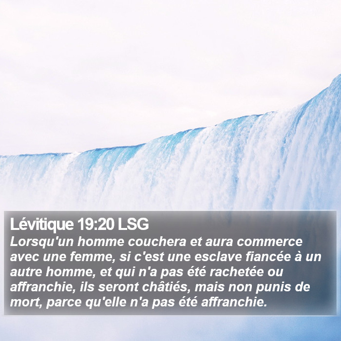 Lévitique 19:20 LSG Bible Study