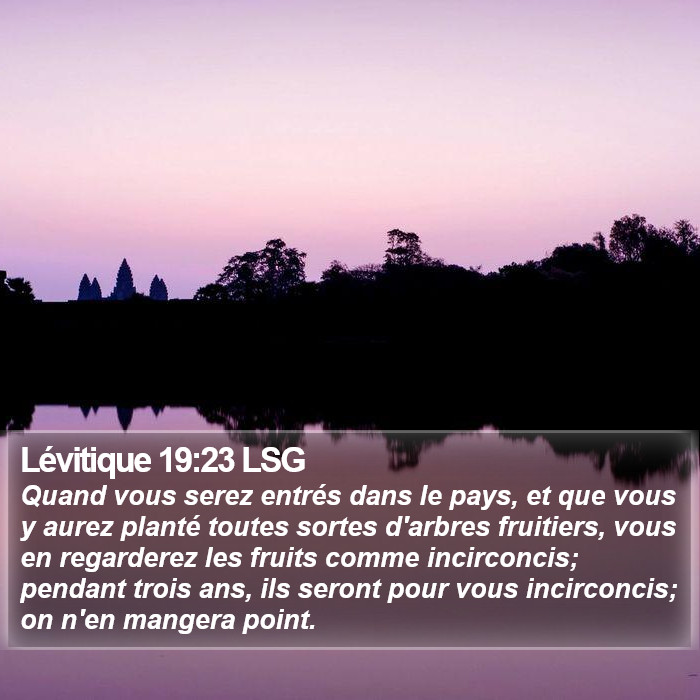 Lévitique 19:23 LSG Bible Study