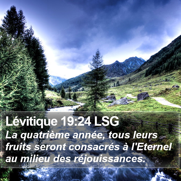Lévitique 19:24 LSG Bible Study