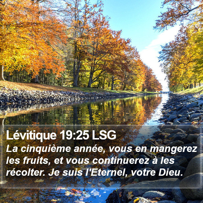Lévitique 19:25 LSG Bible Study